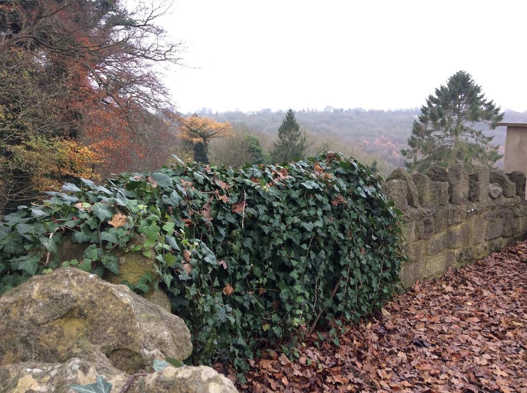 Freshford Longacre Bed & Breakfast 部屋 写真